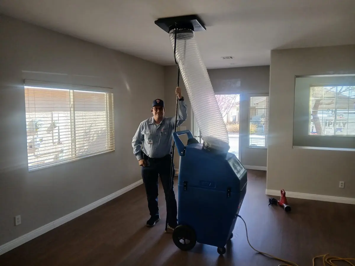 Professional Dryer Vent Cleaning work inside a Rosemount home